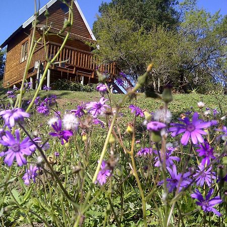 A Stone'S Throw Accommodation Grahamstown Luaran gambar