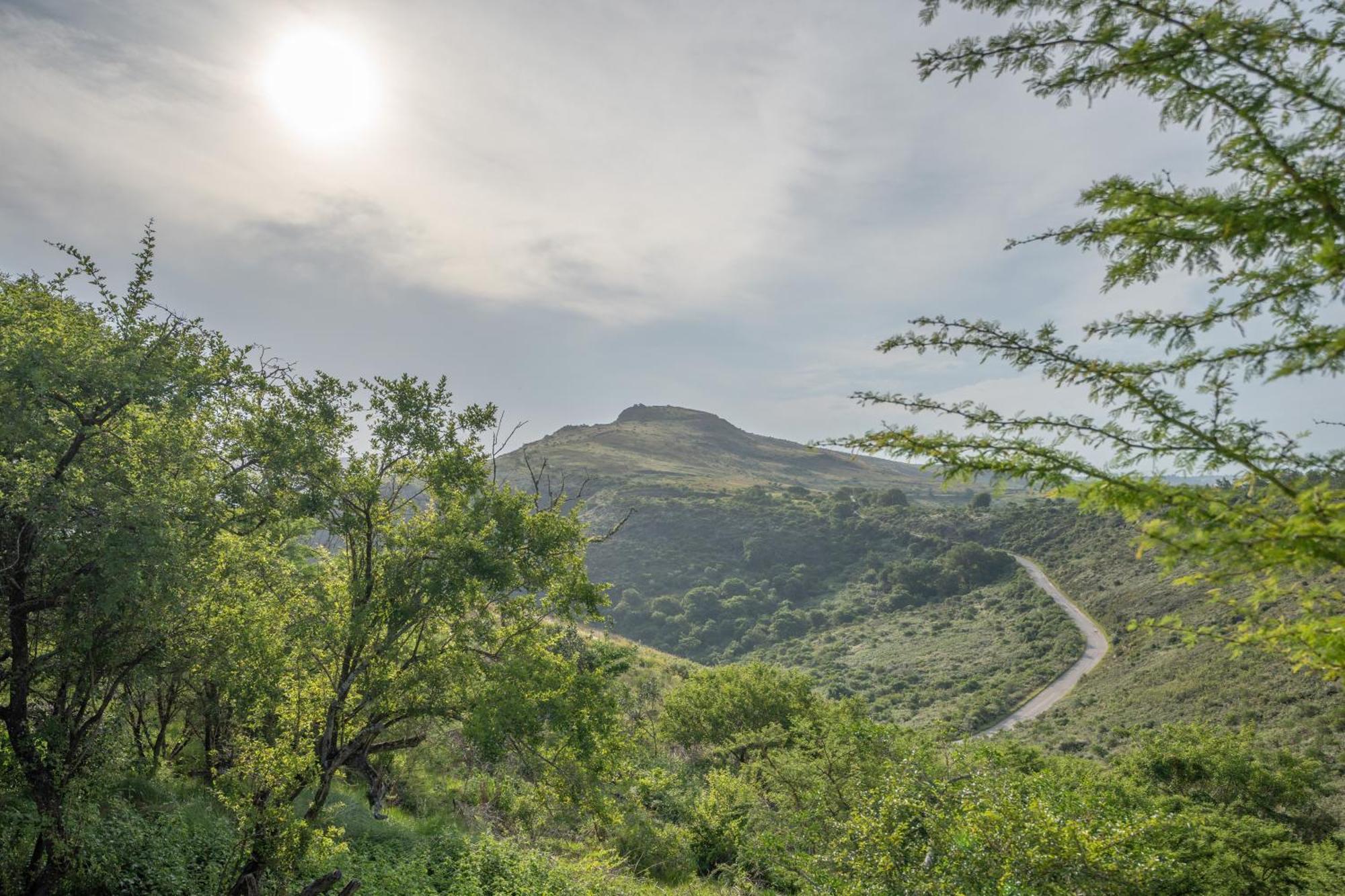 A Stone'S Throw Accommodation Grahamstown Luaran gambar